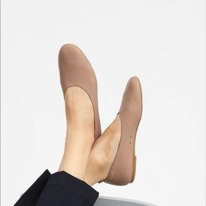 tan italian leather everlane day gloves